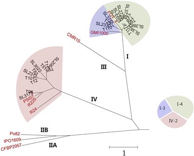 Prediction of Host-Specific Genes by Pan-Genome Analyses of the Korean Ralstonia solanacearum Species Complex